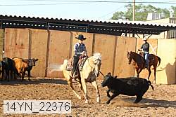 14yn_22376 thumbnail