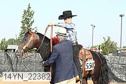 14yn_22382 thumbnail