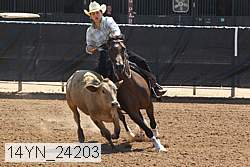 14yn_24203 thumbnail