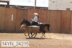 14yn_24215 thumbnail