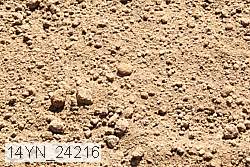 14yn_24216 thumbnail