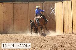 14yn_24242 thumbnail