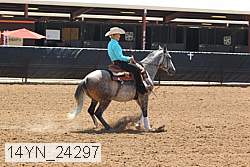 14yn_24297 thumbnail