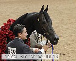 _14yn_slideshow_06013 thumbnail