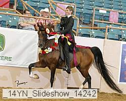 _14yn_slideshow_14242 thumbnail