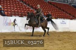 15BUCK_03276 thumbnail
