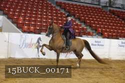 15BUCK_00171 thumbnail