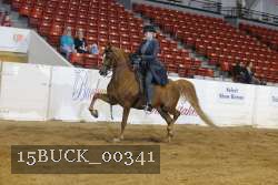 15BUCK_00341 thumbnail