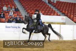 15BUCK_00493 thumbnail
