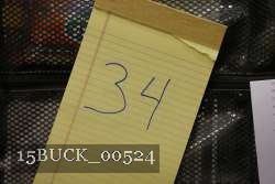 15BUCK_00524 thumbnail