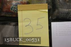 15BUCK_00531 thumbnail