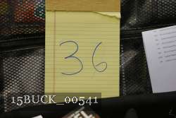 15BUCK_00541 thumbnail