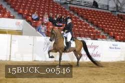 15BUCK_00546 thumbnail
