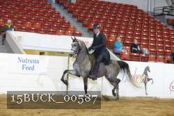 15BUCK_00587 thumbnail
