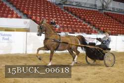 15BUCK_00618 thumbnail