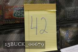 15BUCK_00679 thumbnail