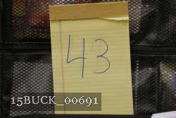 15BUCK_00691 thumbnail