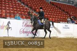 15BUCK_00851 thumbnail