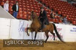 15BUCK_01039 thumbnail