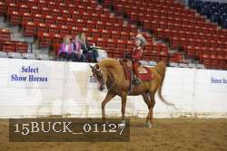 15BUCK_01127 thumbnail