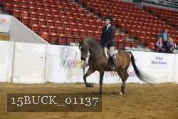 15BUCK_01137 thumbnail