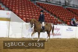 15BUCK_01139 thumbnail