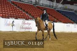 15BUCK_01140 thumbnail