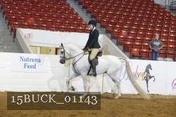 15BUCK_01143 thumbnail