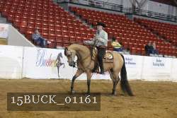 15BUCK_01161 thumbnail