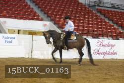 15BUCK_01163 thumbnail