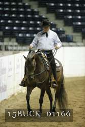 15BUCK_01166 thumbnail
