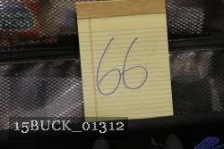 15BUCK_01312 thumbnail