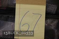 15BUCK_01333 thumbnail