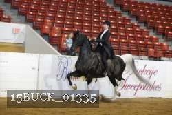 15BUCK_01335 thumbnail