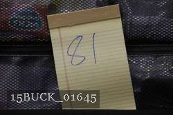 15BUCK_01645 thumbnail