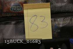 15BUCK_01683 thumbnail