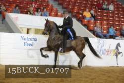 15BUCK_01707 thumbnail