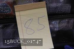 15BUCK_01747 thumbnail