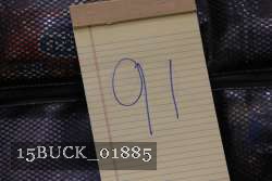 15BUCK_01885 thumbnail