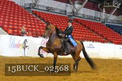 15BUCK_02568 thumbnail