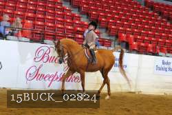 15BUCK_02824 thumbnail