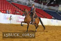 15BUCK_02859 thumbnail