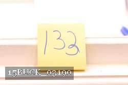 15BUCK_03190 thumbnail