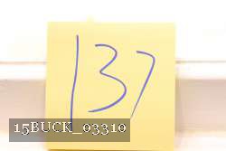 15BUCK_03310 thumbnail