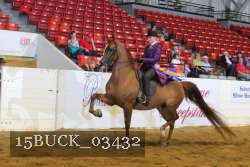 15BUCK_03432 thumbnail
