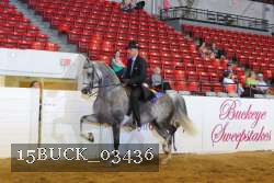 15BUCK_03436 thumbnail