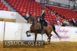 15BUCK_03440 thumbnail