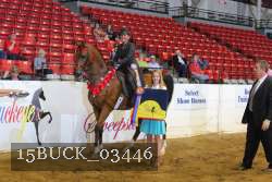 15BUCK_03446 thumbnail