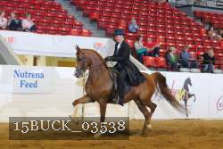 15BUCK_03538 thumbnail