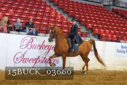 15BUCK_03660 thumbnail